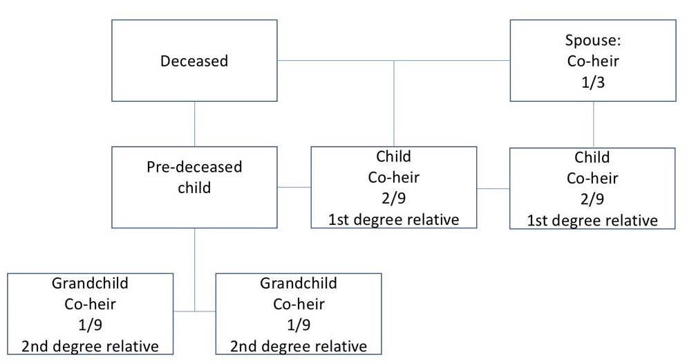 Stirpes Boxes